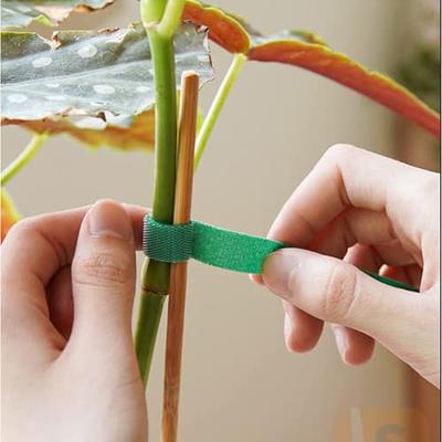  Kecoya 100 Feet Green Garden Tape Plant Ties for Climbing  Plant Garden Ties Plant Tape, 1/2'' Wide Reusable Garden Tape Plant Support  for Climbing Plants, Flowers, Vine, Tomato Ties Adjustable. 