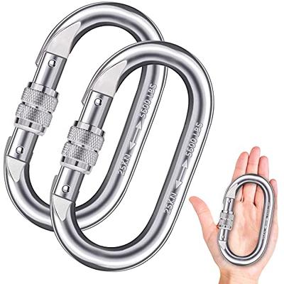  Carabiner-Heavy-Duty, 6 Pack 2.5” Small Carabiner-Clips with  Strong Spring-Stainless Steel Snap Hooks for Climbing Hiking Gym Keycháin  and Dog Leash and Harness : Everything Else