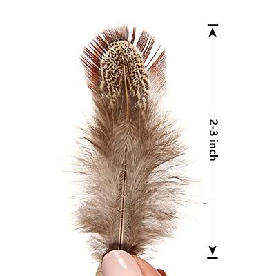 Loose Goose Feather(120pcs)