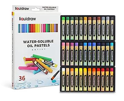 HUIJIE Art Supplies Set,176Pack Set,Artist Soft Oil Pastels,Colored Pe —  CHIMIYA