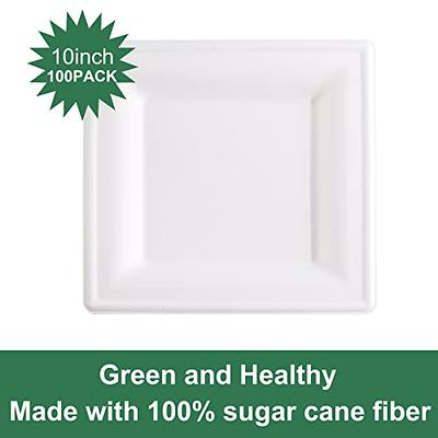 Earth's Natural Alternative Eco-Friendly Natural Compostable Plant Fiber 10 Plate Natural 125 Count