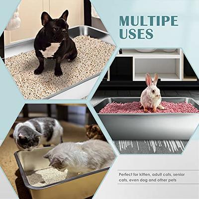 Stainless Steel Litter Box for Kittens, 4 in Height Easy Entry, Odor  Control, Non Stick, Easy to Clean,Litter Box for Rabbits, Ferrets,Guinea  Pigs and Hamsters