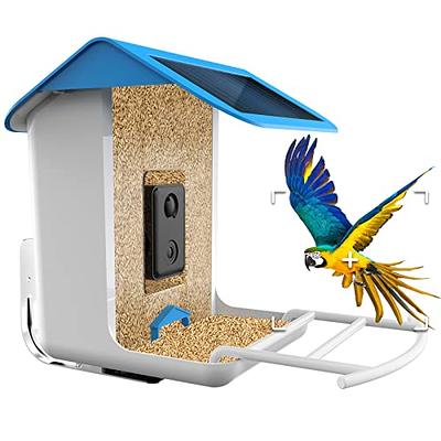 Bird Feeder with Camera Wireless Outdoor with AI Identify Bird