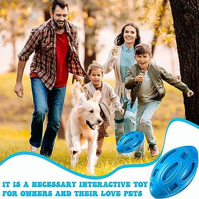 Wettarn 6 Pcs Squeaky Dog Toys for Aggressive Chewers Tough Puppy Chew  Balls with Squeaker Durable Rubber Balls Interactive Dog Toys for Medium Large  Dogs - Yahoo Shopping