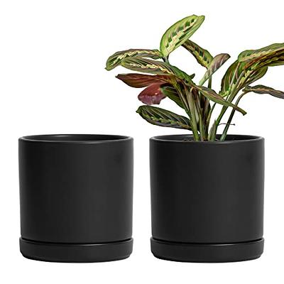 Brajttt 2.5 Inch Succulent Pot with Drainage,Planting/ Flower Pots,Small  Planter for Mini Plant Ceramic Flowing Glaze Base Serial Set with Holes