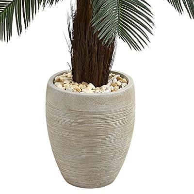 Nearly Natural River Fern with Wood Planter