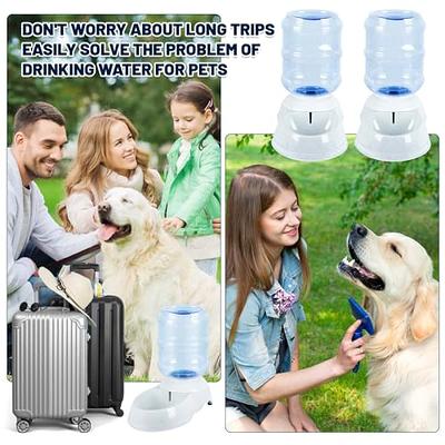 Water Dispenser Station for Large Dogs and Cats, 3 Gallon Gravity Automatic  Feeder, Large Size Dog Drinking Fountain