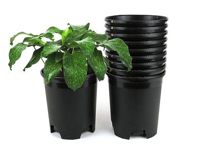 WOUSIWER 16 Pack 6 inch Plastic Planters, Indoor Flower Pots, Heavy Duty  and Stylish 6 Inch Plant Pots for Indoor Plants with Drainage Holes and  Tray