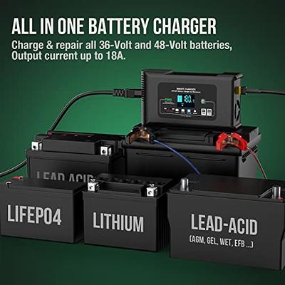 5A & 10A 12V Smart Battery Charger with LCD Display for Lead Acid and  Lithium (LiFePO4) Batteries