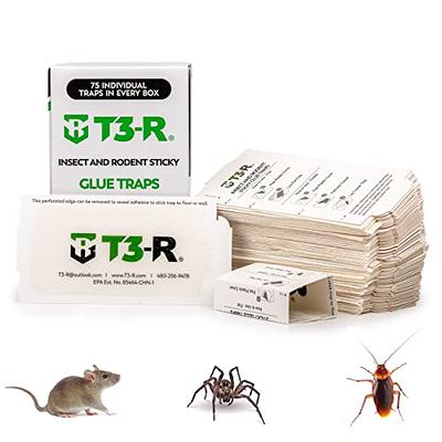 Catchmaster Heavy Duty Baited Rat Glue Traps, 2 Count