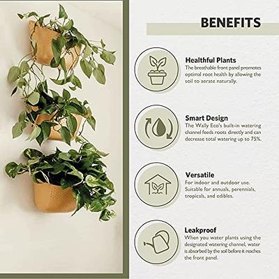 LaLaGreen Wall Mounted Planters for Indoor Plants - 10 Pack, 5 Inch Self  Watering Plastic Pot, Living Hanging Eco Wall Planter System, Trendy Live