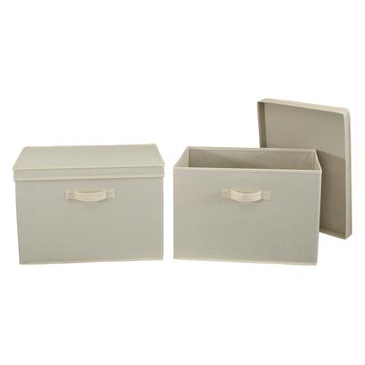 Get Neat with Lisa Small Plastic Bins with Lids - Set of 2 - White