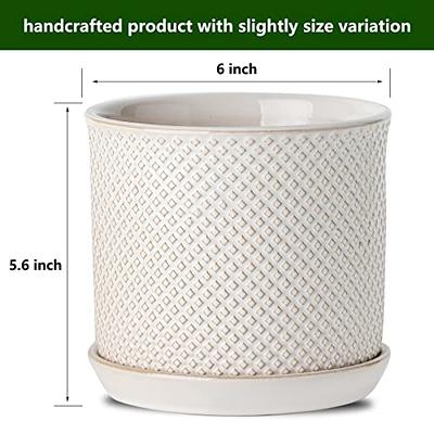 Chubacoo 6 Inch Plant Pots: Planter Pot with Drainage Hole & Saucer -  Ceramic Planters for Indoor/Outdoor Plants - Flower Pots for Garden, Home 