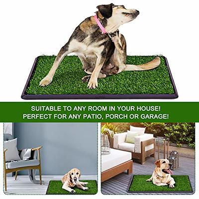 Patio pee shop pad for dogs