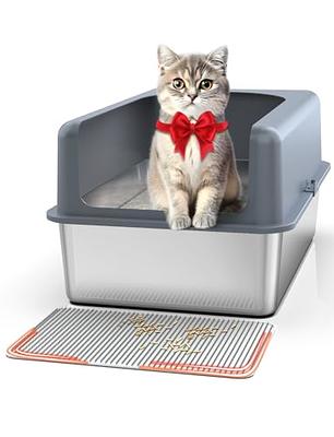  IKITCHEN Stainless Steel Cat Litter Box, Small Low Entry Open  Metal Litter Pan for Arthritic Cats, Litter Basin for Kittens Newborn Cats  Litter Tray 19.5 L x 13.5 W x 4