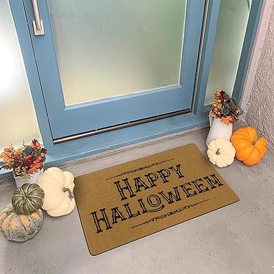 Coir Welcome Mats for Front Door Funny Door Mat Outside Farmhouse Welcome  Mat h