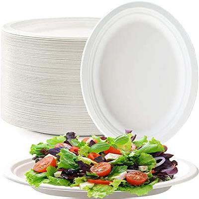 Komphy 300 Pack Disposable Paper Plates, 6 Inch 100% Compostable Plates  Bulk Heavy Duty Small Bagasse Plates Biodegradable Plates for Donuts Salad  Snacks Party(White) - Yahoo Shopping