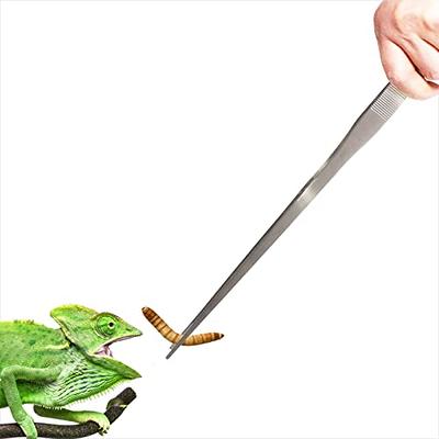 Reptile Feeding Tongs Feeding Tweezer 5 Inch Stainless Steel Reptile Snake  Tongs