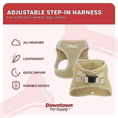 Air Frontier Mesh Dog Harness with and Reflective Dog Leash Set, Reflective Stitching, and Lightweight Breathable No-Pull Design, Adjustable Neck