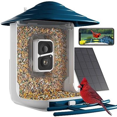 Bird Feeder with Camera,Smart Bird Feeder with Camera,Solar Bird Feeder  Camera,Bird Feeder with Camera Wireless Outdoor,Video Bird Feeder Camera,Camera  Bird Feeder,AI Bird Watching Camera - Yahoo Shopping