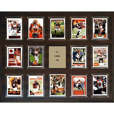 Cincinnati Bengals Mr. & Mrs. Clip Frame