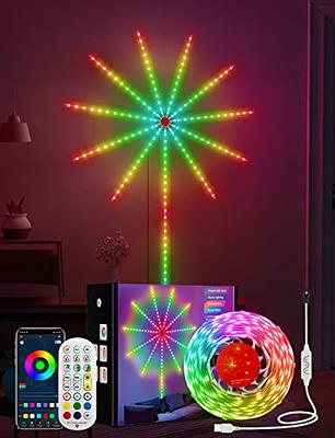 Dream Color LED Lights  Color Changing LED Neon Rope Lights