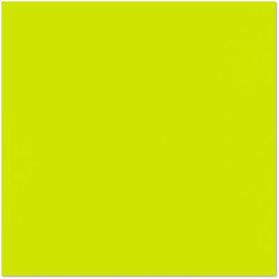 LUXPaper 12 x 12 Cardstock, 100lb Wasabi, 1000/Pack - Yahoo Shopping