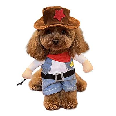 NACOCO Cowboy Rider Dog Costume for Dogs Clothes Knight Style with Doll and  Hat for Halloween Day Pet Costume (S) : : Pet Supplies