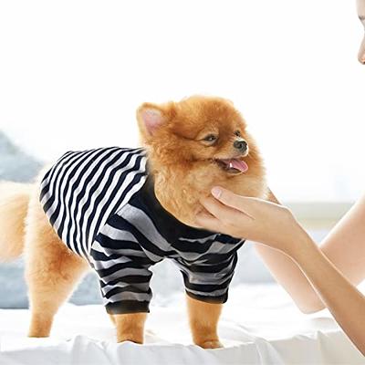  9 Pieces Small Dog Clothes Dog T-Shirt Puppy Clothes Shirts  Cute Print Pet Dog Shirt Small Dog Clothes Summer Pet Shirt Doggie Vest for Small  Dogs Pets Puppy Kitten (Medium) 