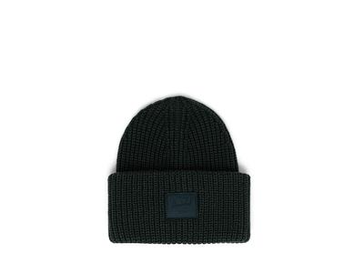 Herschel Sylas Cap in Darkest Spruce