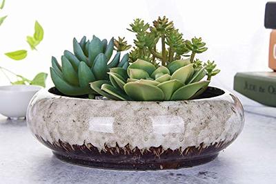 Round Bonsai Planter, White Bonsai Pot With Tray, Shallow Planter, Modern  Flower Pot, Ceramic Pot, Indoor Planter, Handmade Pottery 