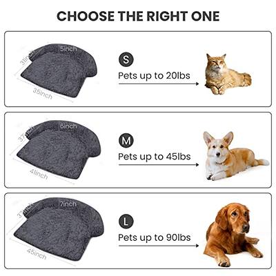 MoonxHome Plush Dog Bed with Foam Neck Bolster, Plush Pet Bed for Small  Dogs and Cats, Universal Pet Furniture Protector, Sofa Bed Cover, Machine