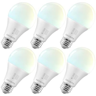 Basics Smart A19 LED Light Bulb, 2.4 GHz Wi-Fi, 7.5W (Equivalent to  60W) 800LM, Works with Alexa Only, 1-Pack, Multicolor 