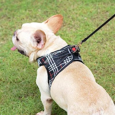 Service Dog Vest Harness and Leash Set, Animire in Training Dog