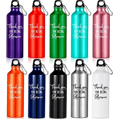 Super Sparrow Insulated Water Bottle with Straw - 32 oz - Reusable Leak  Proof Thermos - BPA-Free Kids Water Bottle Stainless Steel - 2 Lids Metal  Water Bottle for Sports, Travel, Camping - Yahoo Shopping