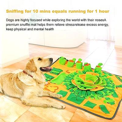 Dog Snuffle Mat, Foldable And Washable Dog Puzzle Feeding Mat, Dog Feeding  Mats With Dog Enrichment Toys, Interactive Dog Sniffing Mat For Slow  Feeder, Training And Anxiety Relief - Temu