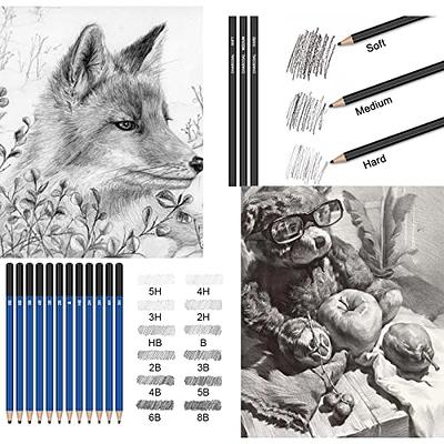 Drawdart Art Supplies Drawing Pencils Set - 76 Pack Pro Sketching Kit with  Sketchbook & Watercolor Pad, Includes Graphite, Charcoal, Watercolor 