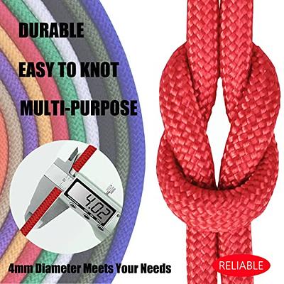 CAPARK 650lb Paracords 9 Strand Parachute Cord Heavy Duty 150ft Survival  Paracord Rope Type III-IV Outdoor Camping Hiking DIY Projects 4mm (Red,  100ft / 30m) - Yahoo Shopping