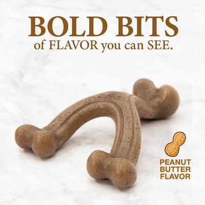 Nylabone FlexiChew Peanut Butter & Bacon Flavored Dog Chew Toy, XX