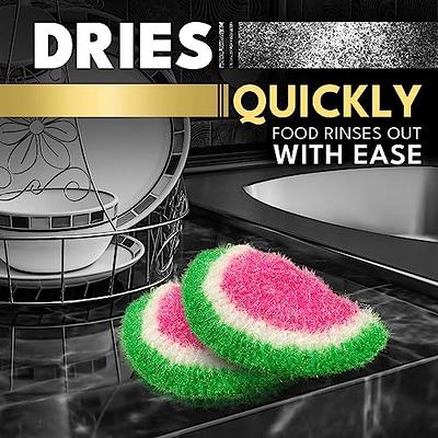 Dish Scrubber for Dishwashing 5 Pk