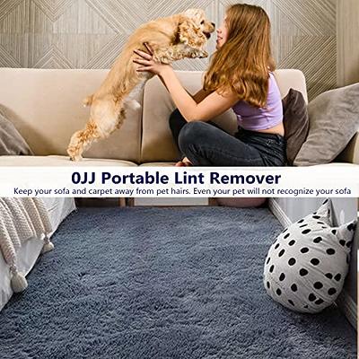 2pcs Portable Lint Remover, Manual Clothes And Rug Shaver, Double