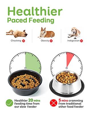 Pawque Slow Feeder Dog Bowls Elevated Dog Food Bowls, Adjustable