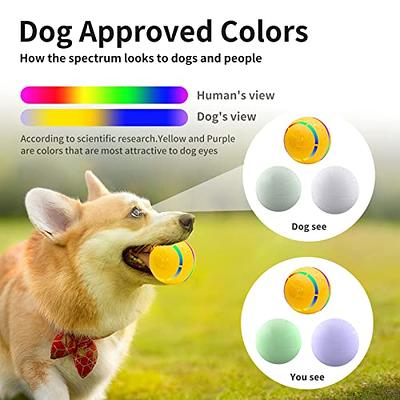 Myratts Interactive Dog Toy with Remote Control and RGB Lights, Self-Moving  Activated Automatic Rolling Ball Toys for Puppy/Small/Medium Dogs, USB