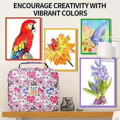 Adult Coloring Book Art Supplies Storage