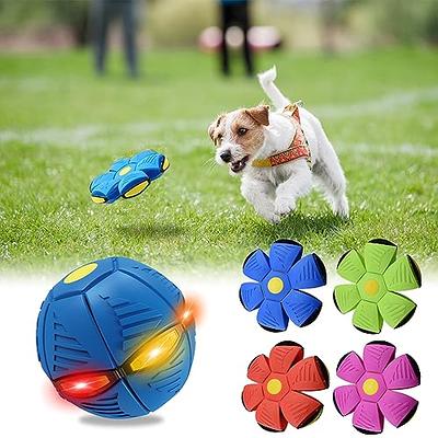 Addcean Dog Toys Ball with Lights, Interactive Dog Toys Pet Toy Flying  Saucer Ball, UFO Magic Ball Flying Saucer Ball Dog Toy, Best Gifts for Small  Dogs (3 Lights, Blue) - Yahoo Shopping