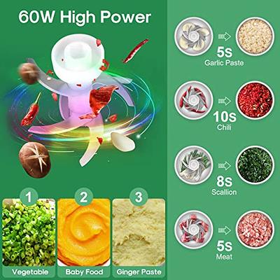 300ML Electric Mini Food Processor, 60W Cordless Food Press Garlic Chopper,  Mini Blender For Garlic,Vegetable,Fruit,Onions,Chili,Meat,Salad,Baby Food