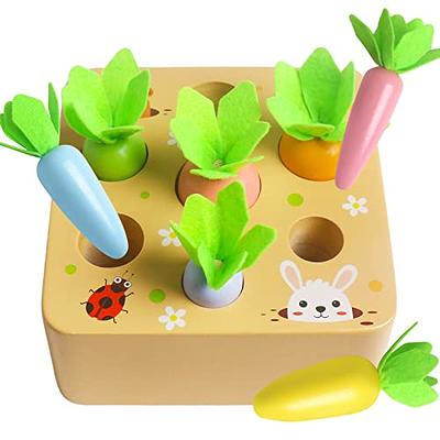 Ancaixin Montessori Toys for Babies 6-12 Months, Wooden Toys for 1 Year Old  Boys and Girls, Educational Carrot Harvest Toy for Toddlers, Shape Sorting