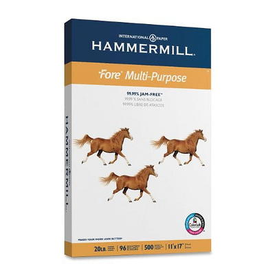 Hammermill Tidal 20 lb. Paper 162400