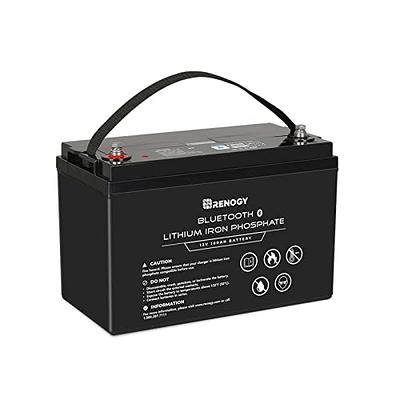 LPFMAX Bluetooth LiFePO4 Lithium Battery 12V 100Ah - Smart 4000+ Deep Cycle  Lithium Iron Phosphate Battery Built-in 100A BMS with Heating Fuction