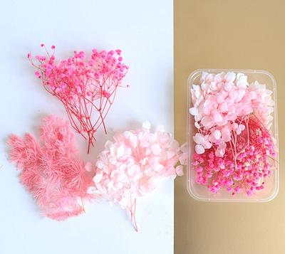 Dried Flowers Bulk Dried Flower, 1 Set Pink Flower, Mix Assorted Variety  Pack Real Dry Flower, Mixed Floral - Yahoo Shopping